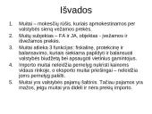 Muitų apibūdinimas, jų paskirtis ir funkcijos 15 puslapis