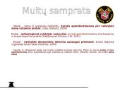 Muitų apibūdinimas, jų paskirtis ir funkcijos 4 puslapis