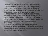 Liudvikas van Bethovenas ir jo kūriniai 3 puslapis