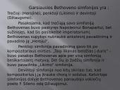 Liudvikas van Bethovenas ir jo kūriniai 5 puslapis