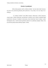 IĮ „Gudienos technika“ marketingo strategija 12 puslapis