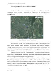 IĮ „Gudienos technika“ marketingo strategija 4 puslapis