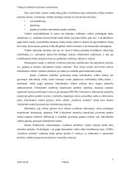 IĮ „Gudienos technika“ marketingo strategija 5 puslapis