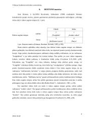IĮ „Gudienos technika“ marketingo strategija 9 puslapis