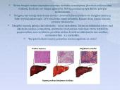 Alkoholio žala skaidrės 6 puslapis
