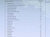 Alkoholio žala skaidrės 9 puslapis