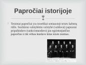 Teisinis paprotys ir teismo precedentas 12 puslapis