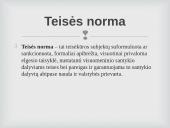 Teisinis paprotys ir teismo precedentas 19 puslapis