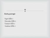 Teisinis paprotys ir teismo precedentas 3 puslapis