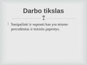 Teisinis paprotys ir teismo precedentas 4 puslapis