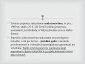 Teisinis paprotys ir teismo precedentas 9 puslapis