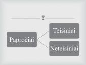 Teisinis paprotys ir teismo precedentas 10 puslapis