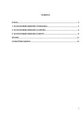 3D spausdinimo įrenginių įvairovė 2 puslapis