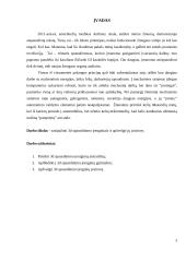 3D spausdinimo įrenginių įvairovė 3 puslapis