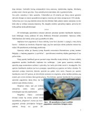 3D spausdinimo įrenginių įvairovė 7 puslapis