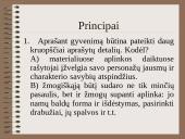 Realizmas skaidrės 5 puslapis