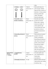 Krepšinio pamokos planas 2 puslapis