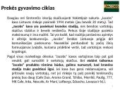 „Jacobs“ kavos marketingo komplekso analizė 19 puslapis