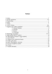 Marketingo analizė apie Švyturio alų 2 puslapis