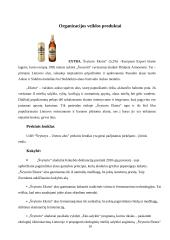 Marketingo analizė apie Švyturio alų 11 puslapis