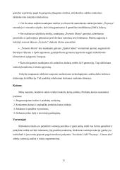 Marketingo analizė apie Švyturio alų 12 puslapis