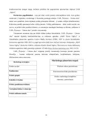 Marketingo analizė apie Švyturio alų 15 puslapis