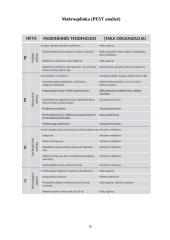 Marketingo analizė apie Švyturio alų 17 puslapis