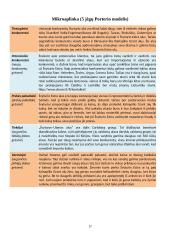 Marketingo analizė apie Švyturio alų 18 puslapis