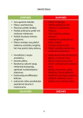 Marketingo analizė apie Švyturio alų 19 puslapis