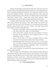 Darbo sąlygų Europoje tyrimai 13 puslapis