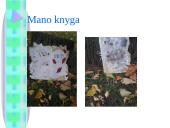 Runų raštas 7 puslapis