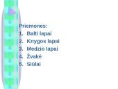 Runų raštas 8 puslapis