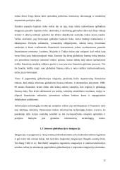 Globalizacijos poveikis finansų sistemai ir finansų rinkoms 12 puslapis