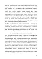 Globalizacijos poveikis finansų sistemai ir finansų rinkoms 17 puslapis