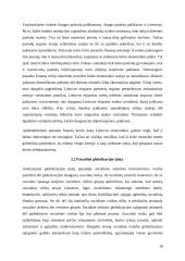 Globalizacijos poveikis finansų sistemai ir finansų rinkoms 18 puslapis