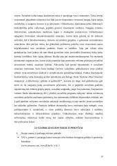 Globalizacijos poveikis finansų sistemai ir finansų rinkoms 19 puslapis