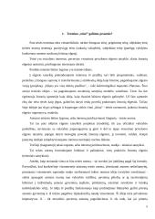 Teisės namų darbai, pasiruošimas egzaminui 5 puslapis