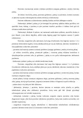 Higienos normų studijavimas  6 puslapis