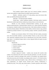 Nedarbo lygis ir jį lemiantys veiksniai Latvijoje, Estijoje, Danijoje ir Norvegijoje 2000-2013 metais 4 puslapis