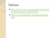 Modernas skaidrės 12 puslapis