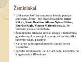 XX a. istorinė, politinė ir kultūrinė situacija, laikotarpį reprezentuojančios asmenybės 13 puslapis