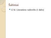 XX a. istorinė, politinė ir kultūrinė situacija, laikotarpį reprezentuojančios asmenybės 17 puslapis