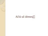 Vincas Kudirka „Tautiška giesmė“ analizė 12 puslapis