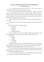 Įmonės bankroto prognozavimas 11 puslapis