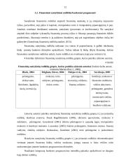 Įmonės bankroto prognozavimas 12 puslapis