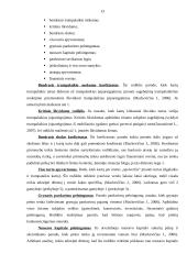 Įmonės bankroto prognozavimas 13 puslapis