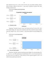 Įmonės bankroto prognozavimas 16 puslapis
