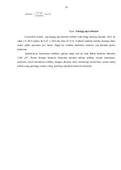 Įmonės bankroto prognozavimas 19 puslapis