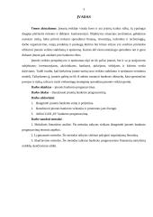 Įmonės bankroto prognozavimas 3 puslapis