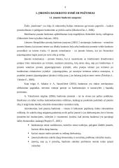 Įmonės bankroto prognozavimas 4 puslapis